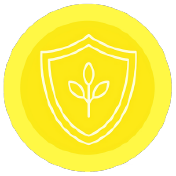 We are Safe Image